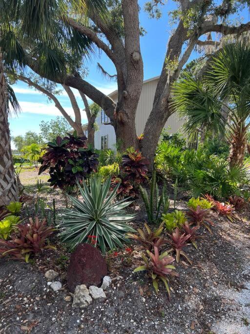 הוילה אנגלווד Tropical Bay House מראה חיצוני תמונה